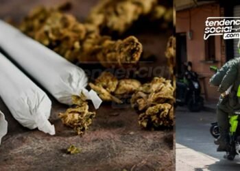 Así encontraron marihuana en una casa de Soacha para ser vendida en colegios