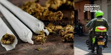 Así encontraron marihuana en una casa de Soacha para ser vendida en colegios