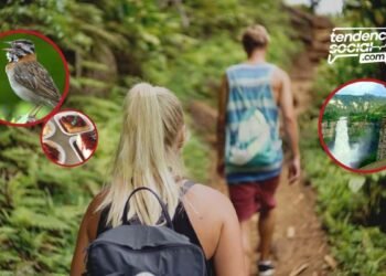 Soacha el futuro de un pueblo dorado que no conocías, descubre lugares atractivos y turísticos