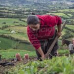 Campesinos de Cundinamarca así aumentan su dinero por la venta de sus productos