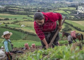Campesinos de Cundinamarca así aumentan su dinero por la venta de sus productos