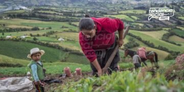 Campesinos de Cundinamarca así aumentan su dinero por la venta de sus productos