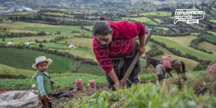Campesinos de Cundinamarca así aumentan su dinero por la venta de sus productos