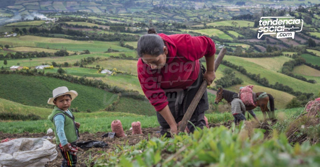 Campesinos de Cundinamarca así aumentan su dinero por la venta de sus productos