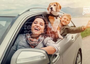 Horario: pico y placa para el lunes 15 de agosto en la autopista sur en Soacha