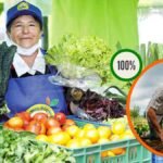 Mira cómo familias vulnerables reciben mercados con productos 100% cundinamarqués