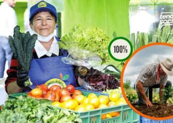 Mira cómo familias vulnerables reciben mercados con productos 100% cundinamarqués