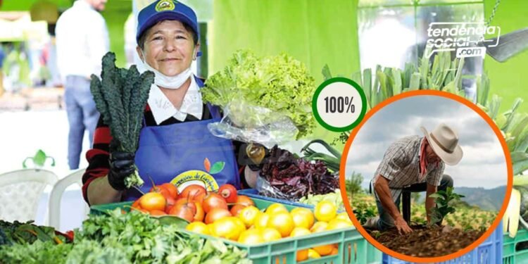 Mira cómo familias vulnerables reciben mercados con productos 100% cundinamarqués