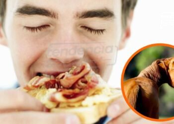 En Cundinamarca manipulan los alimentos escolares con (carne de caballo) para los niños