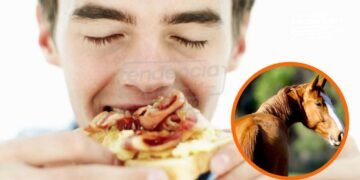 En Cundinamarca manipulan los alimentos escolares con (carne de caballo) para los niños