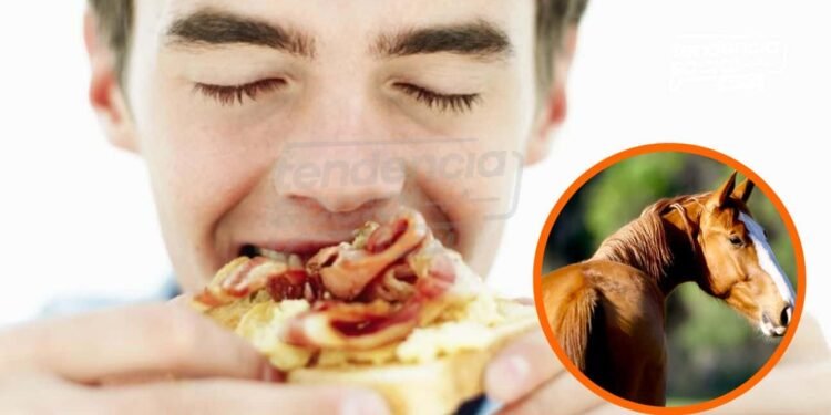 En Cundinamarca manipulan los alimentos escolares con (carne de caballo) para los niños