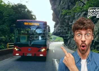 Anuncian servicio especial de Transmilenio Estación San Mateo a Melgar por temporada