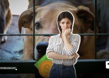 Multa Impactante por maltrato animal en Cundinamarca ¡Adiós a la crueldad!