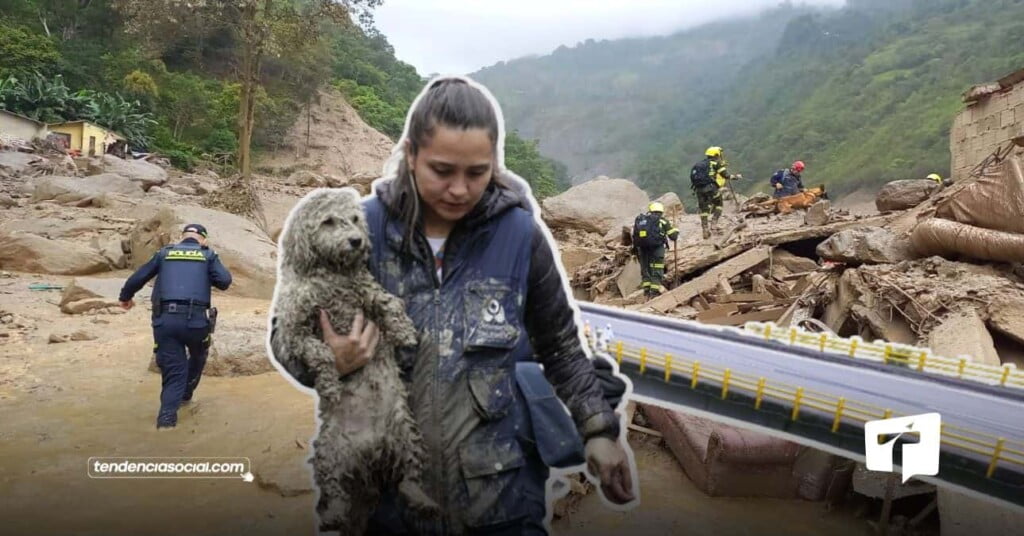 Avalancha de Quetame dejó fríos a bomberos y lo qué pasará con la vía al Llano-TendenciaSocial.com