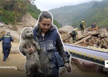 Avalancha de Quetame dejó fríos a bomberos y lo qué pasará con la vía al Llano-TendenciaSocial.com