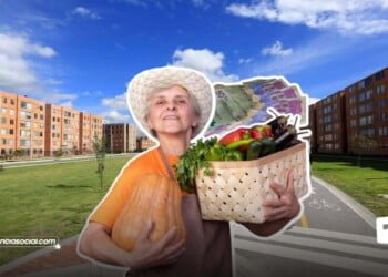 Bono de mercado para abuelos de Soacha. Requisitos, qué hacer y cómo reclamar