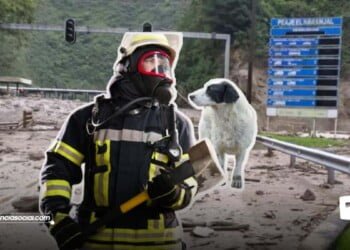 Por río Contador dura y radical decisión con la búsqueda y rescate en Quetame