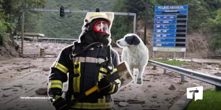 Avalancha en Quetame, deja fallecidos y desaparecidos. Bomberos logran salvar vidas humanas y animales en la zona. | Foto, composición: Tendenciasocial.com