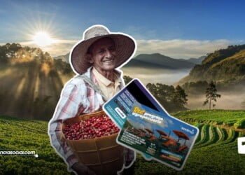 Tarjeta Agropecuaria Cundinamarca: ¡Ya beneficia 5 mil cafeteros gracias a la alianza entre la Gobernación de Cundinamarca, la Red de Progreso Agropecuario y el Comité de Cafeteros de Cundinamarca!