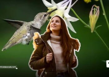 Los secretos de San Francisco el jardín con más colibríes de América Latina