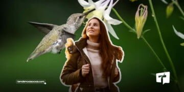 Los secretos de San Francisco el jardín con más colibríes de América Latina