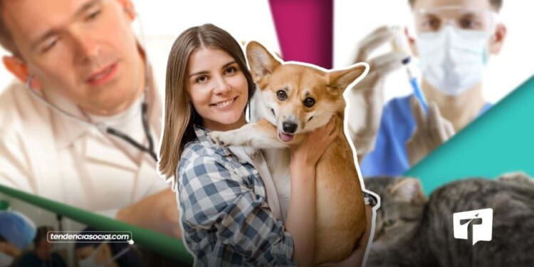 Nuevo hospital veterinario en Soacha, propuesta del candidato a la Alcaldía, Danny Caicedo. |Composición: tendenciaSocial.com