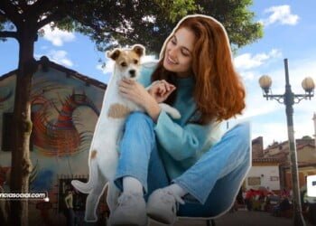 5 pasos para calmar el estrés de tu mascota, detectarlo y prevenir ¡Entérate!