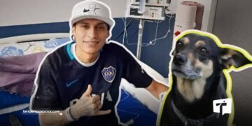 Murió Javier Acosta, hincha de Millonarios: Este fue su último mensaje