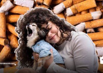 Las colillas del cigarrillo afectan las mascotas y el agua.