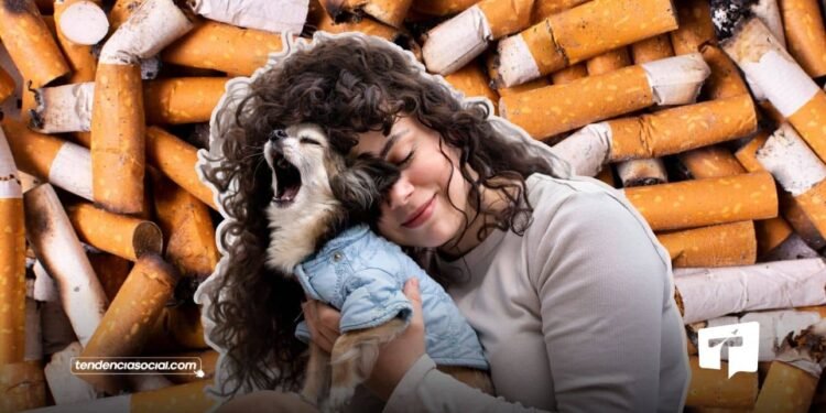 Las colillas del cigarrillo afectan las mascotas y el agua.