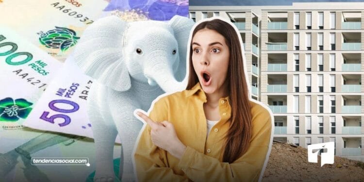 Elefante Blanco en el municipio de Granada, destapa la Contraloría.