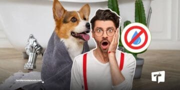 Racionamiento de agua en Soacha este domingo, 30 de marzo.