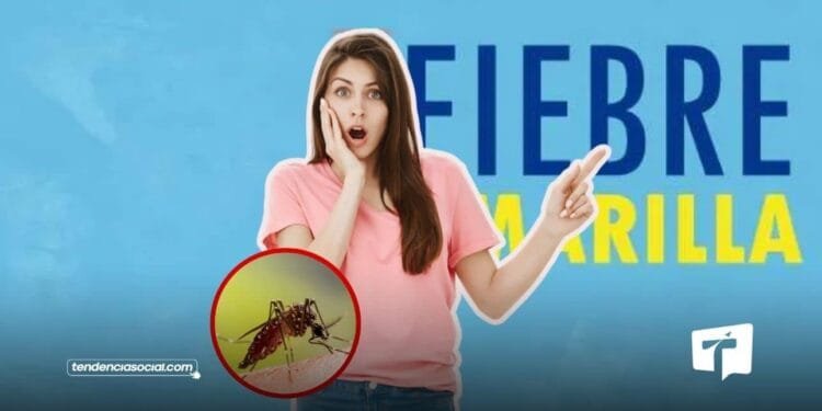 Primer caso de fiebre amarilla en Soacha.