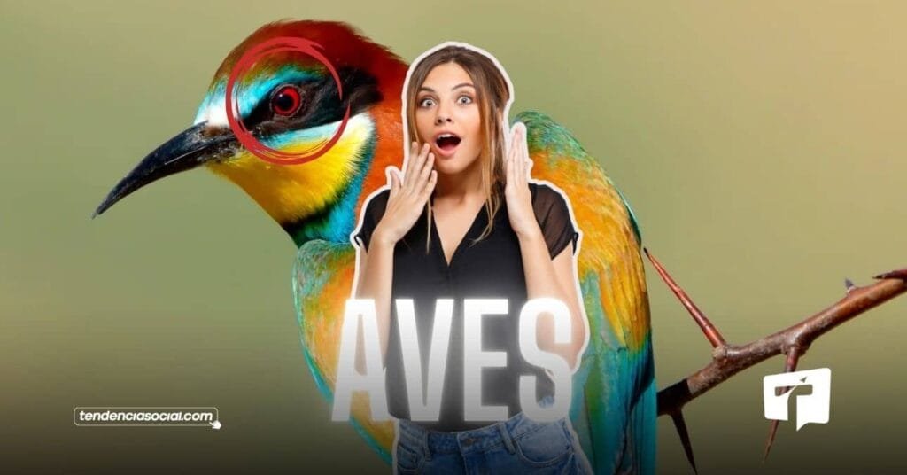 Aves en Cundinamarca en peligro de extinción.