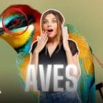 Aves en Cundinamarca en peligro de extinción.
