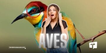 Aves en Cundinamarca en peligro de extinción.