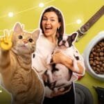 Perros y gatos podrían sufrir de diabetes.