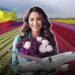 Cundinamarca trabaja y produce la mayoría de flores.