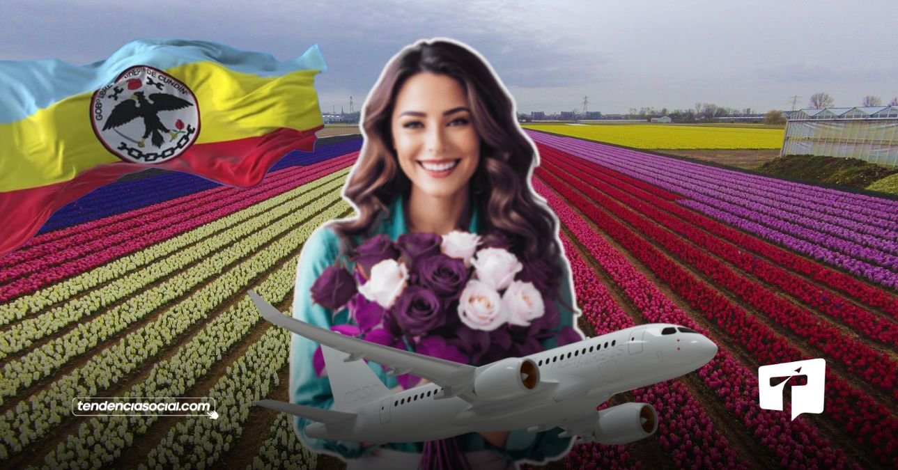 Cundinamarca trabaja y produce la mayoría de flores.