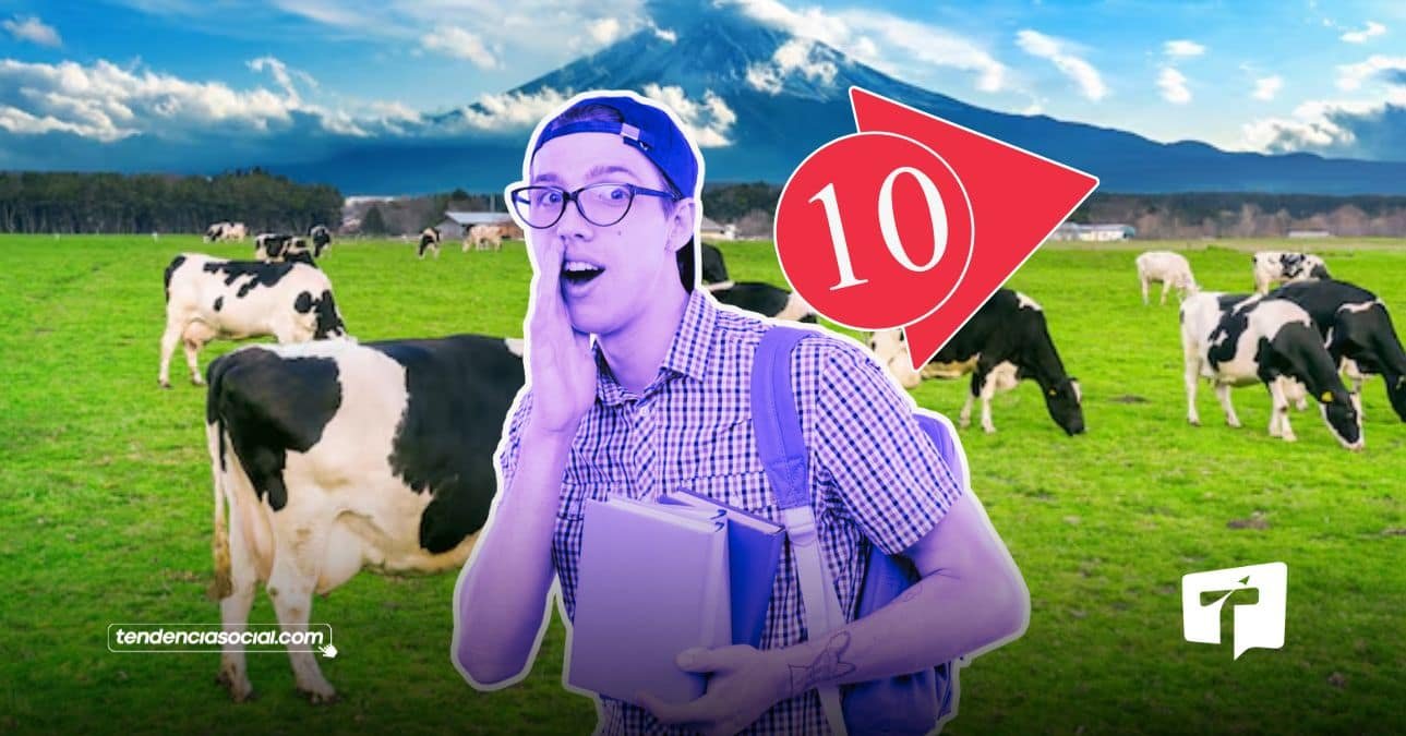 Colegio de Ubaté en Cundinamarca 2026