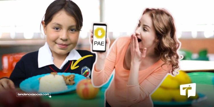 PAE en Cundinamarca: el cambio silencioso que hoy alimenta a miles de estudiantes