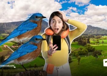 silvestre en Bogotá